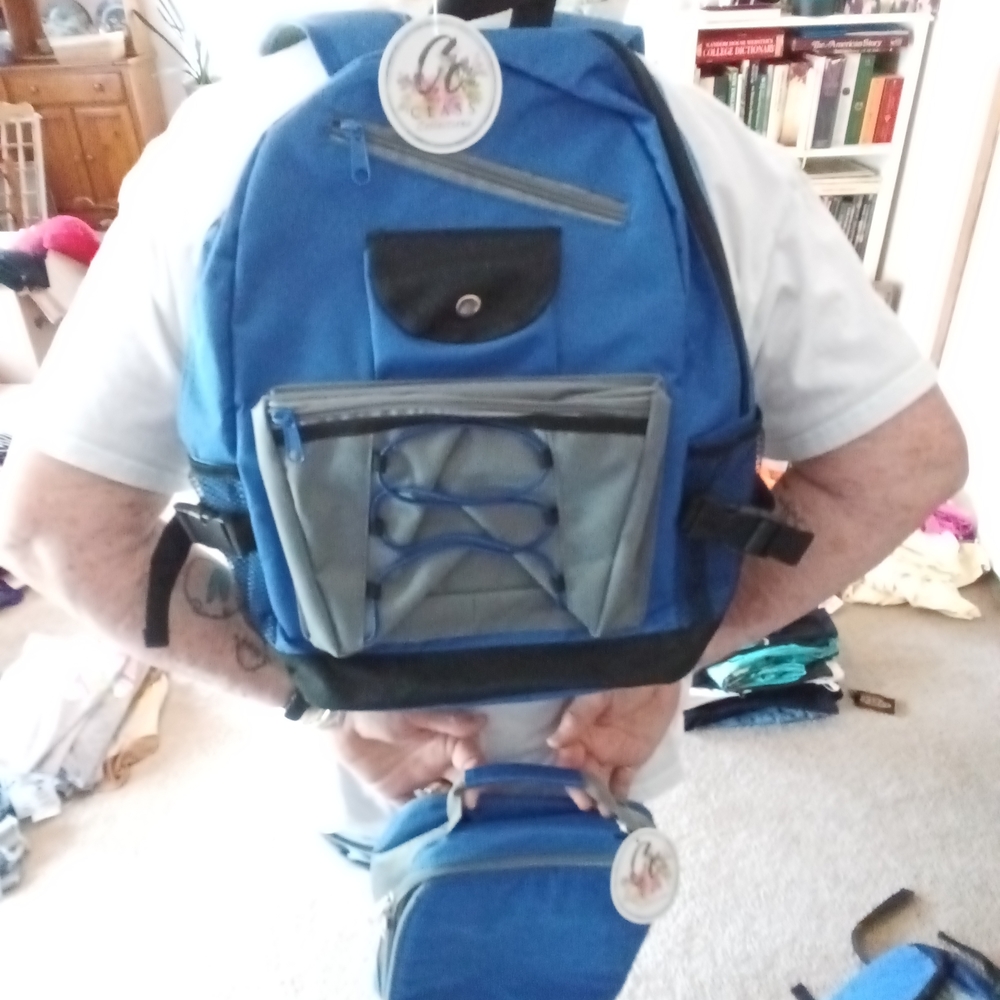 Blue and Gray Backpack
